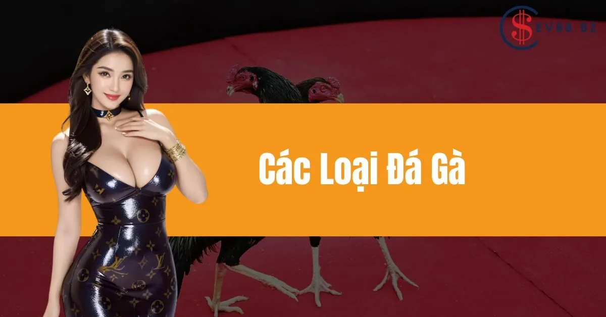 Các Loại Đá Gà